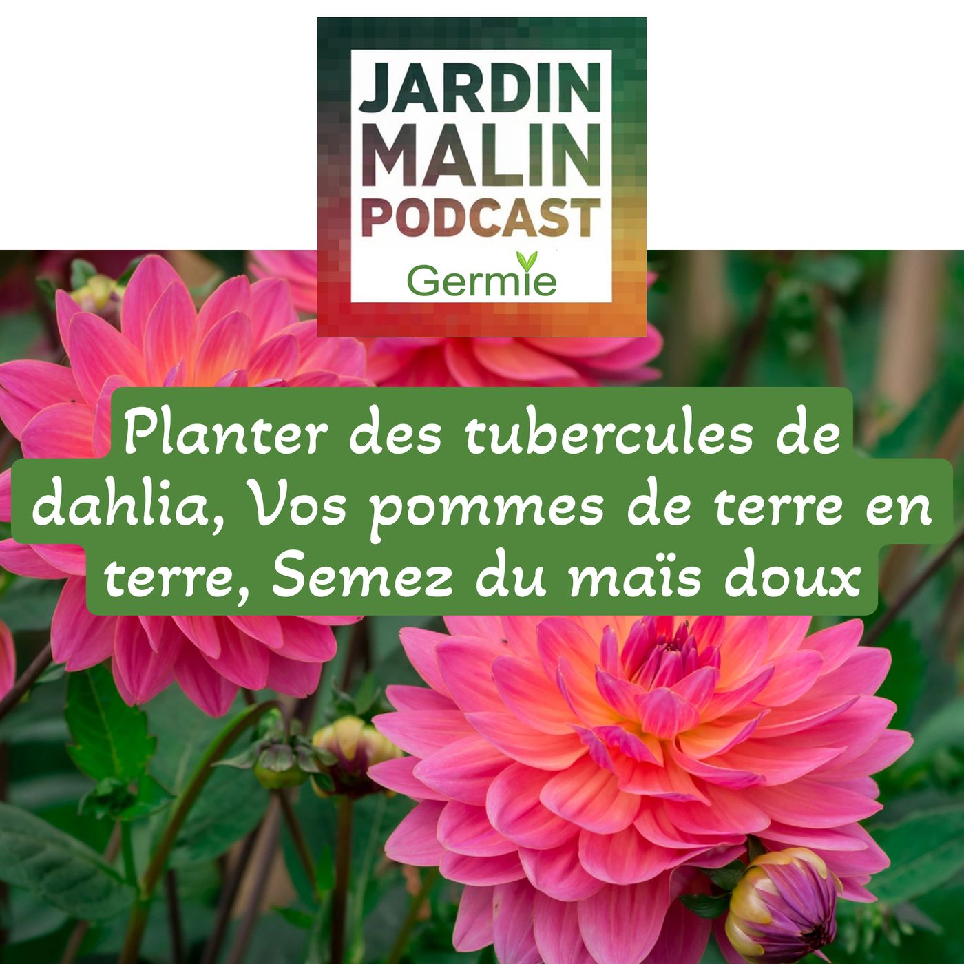 JARDIN MALIN by Germie