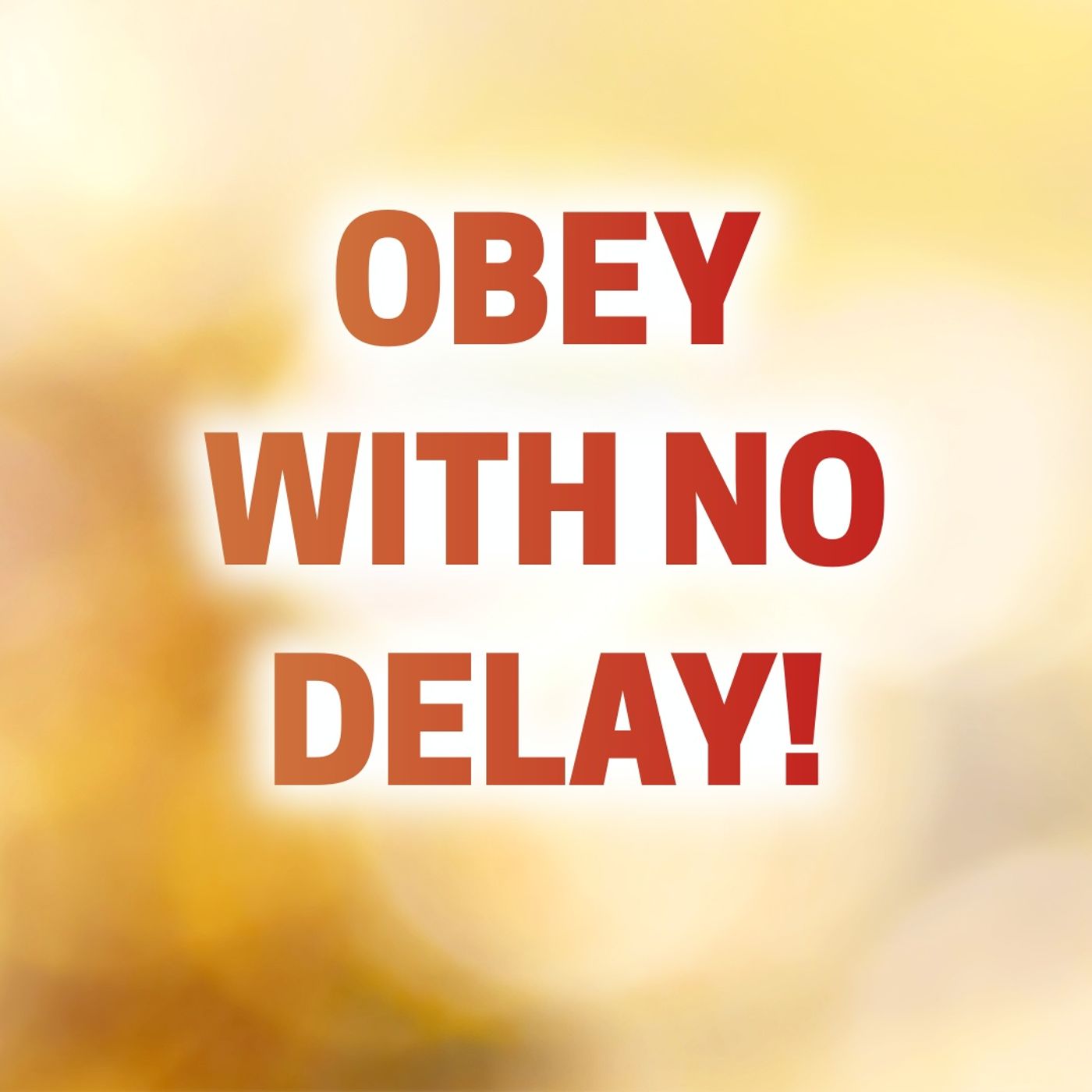 2025_0427 Obey With No Delay!