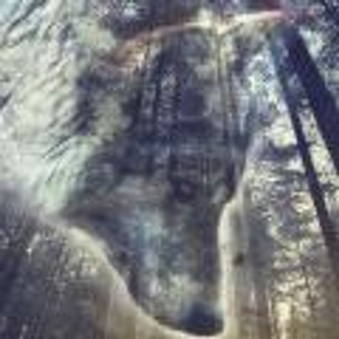 Animal Soul Wisdom Radio