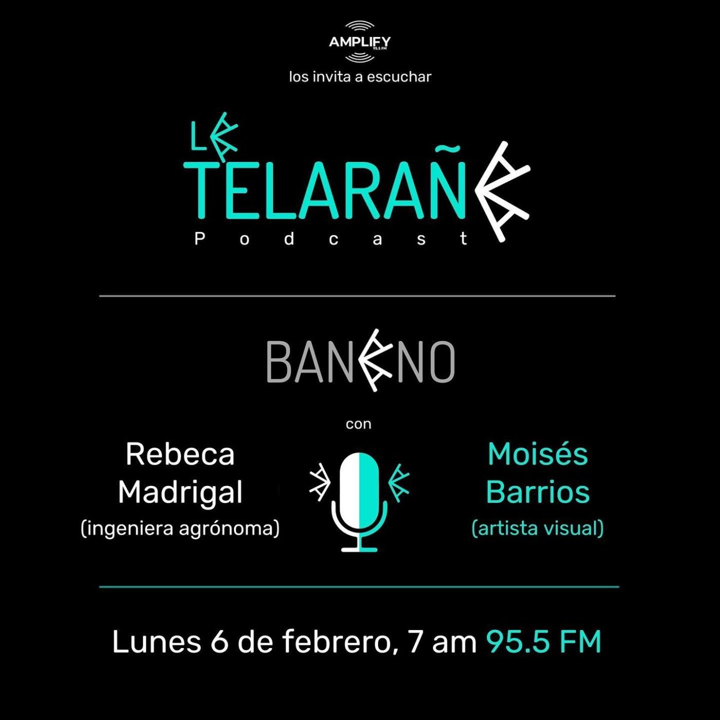 La Telaraña