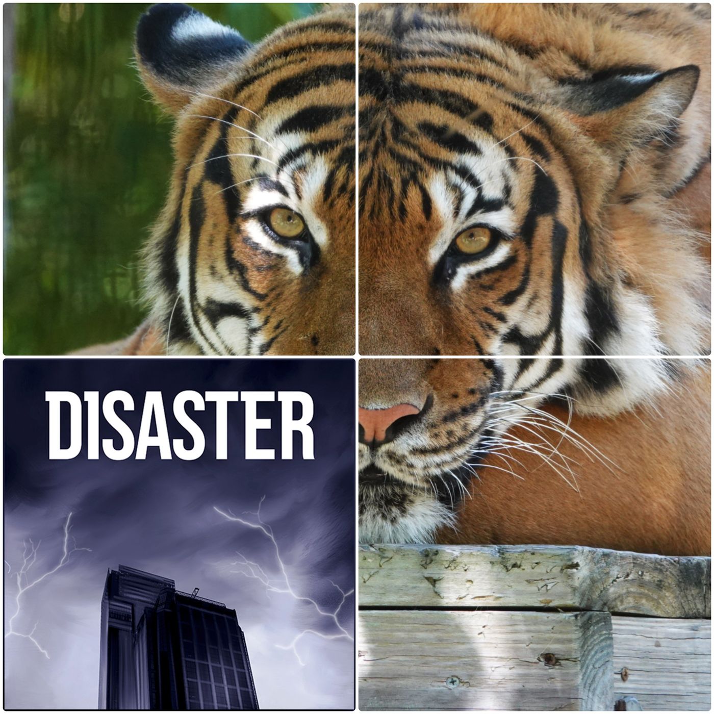 Obscura Presents: Disaster - Alligator and Tiger Doublesode