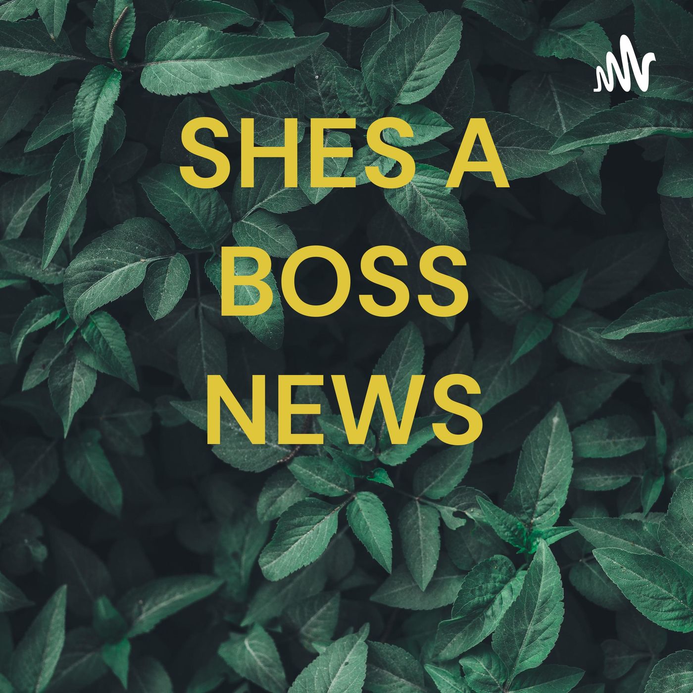 BOSS LADY CELEBRITY GOSSIP NEWS CHANNEL