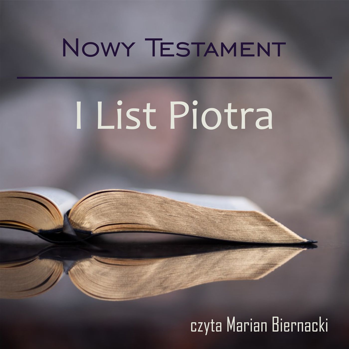 Biblia Audio Nowy Testament