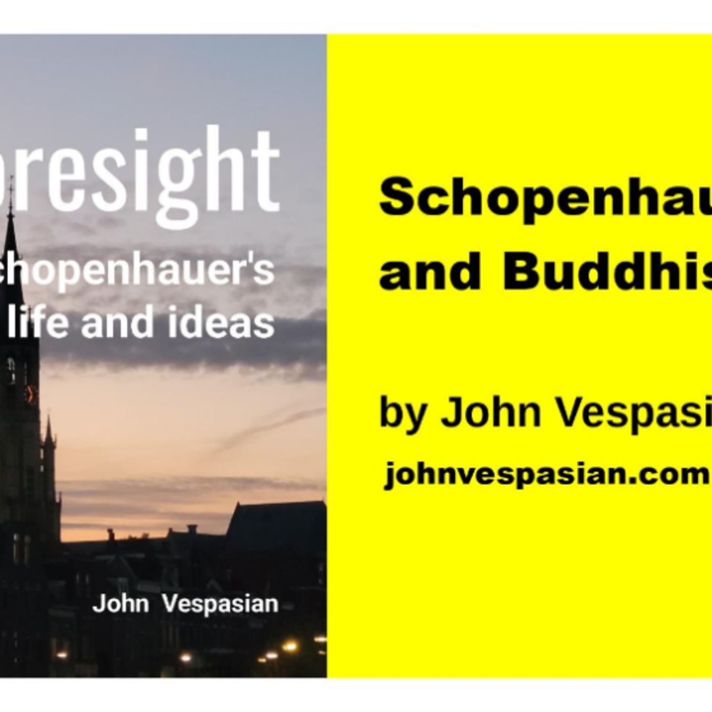 Schopenhauer and Buddhism episode artwork