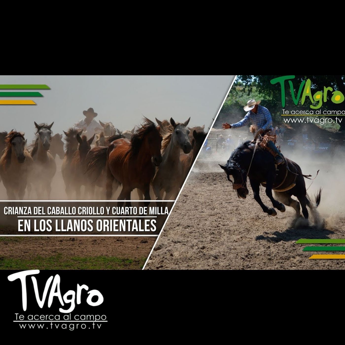 TV AGRO