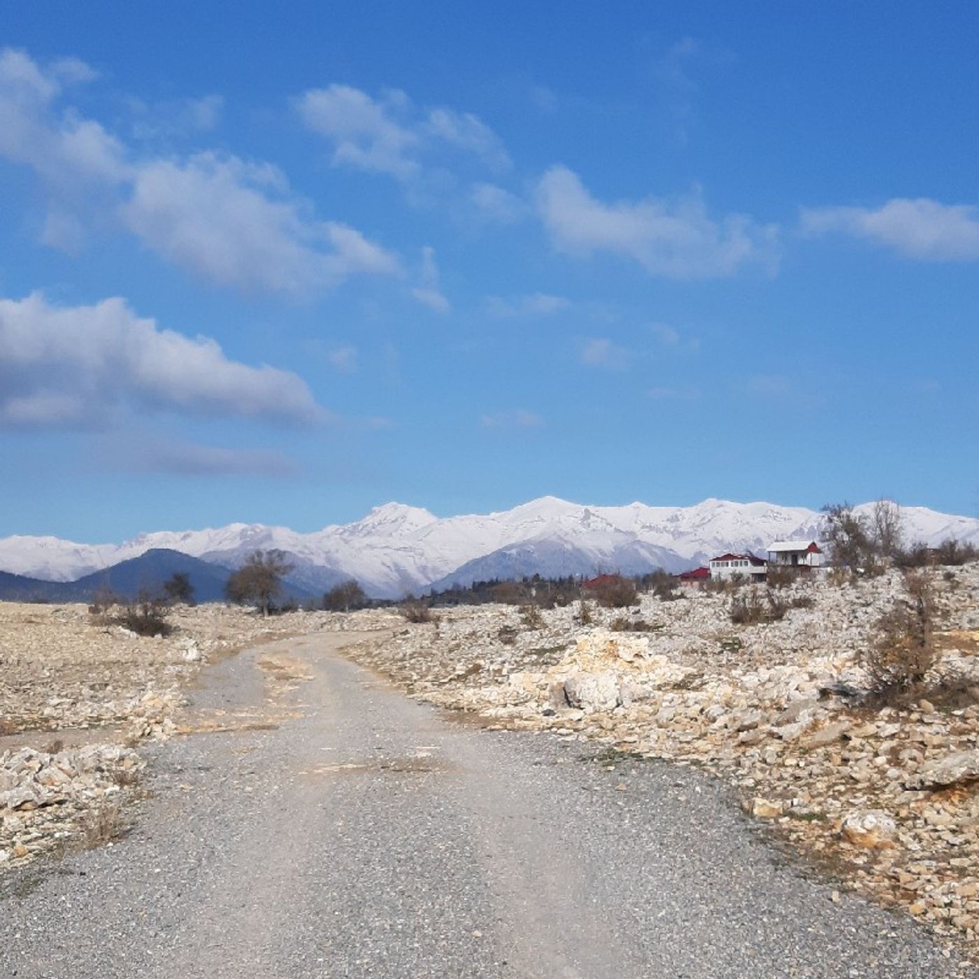 Şiir