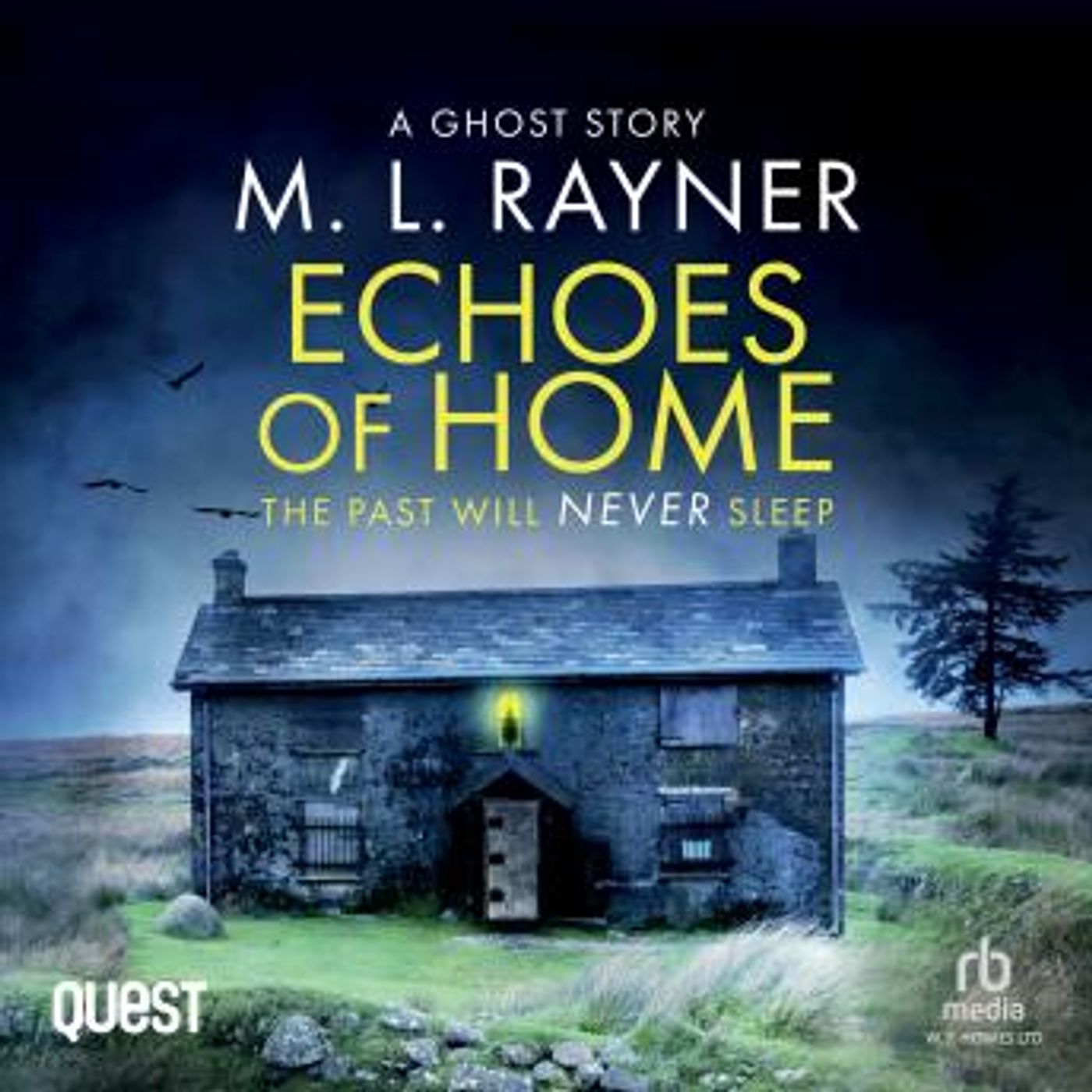 Echoes of Home: A Ghost story, which will haunt you... by M.L. Rayner episode artwork