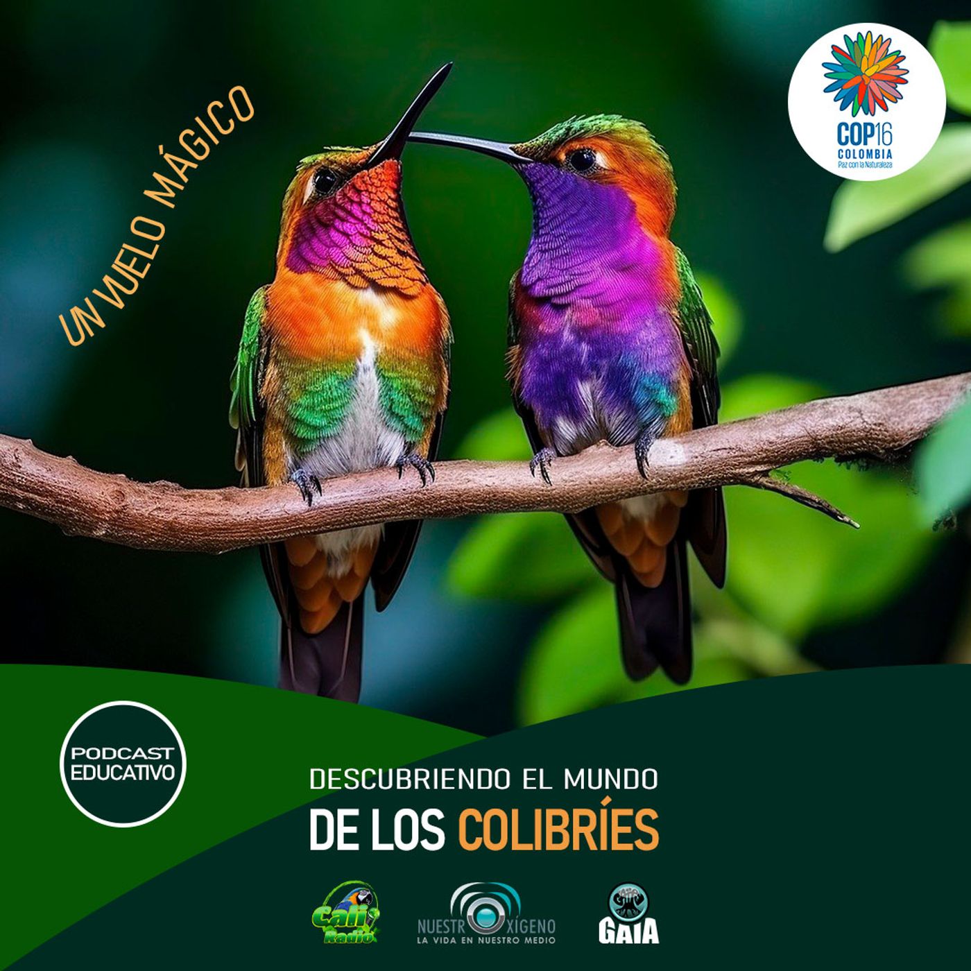2024 Nuestro Oxigeno 09- Septiembre