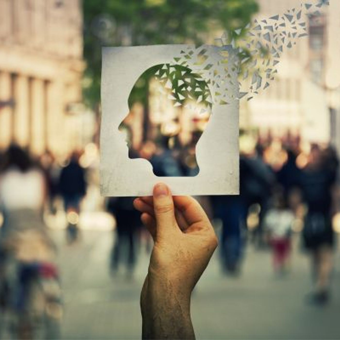 "Alzheimer café" : un espace pour comprendre et se sentir moins seul episode artwork