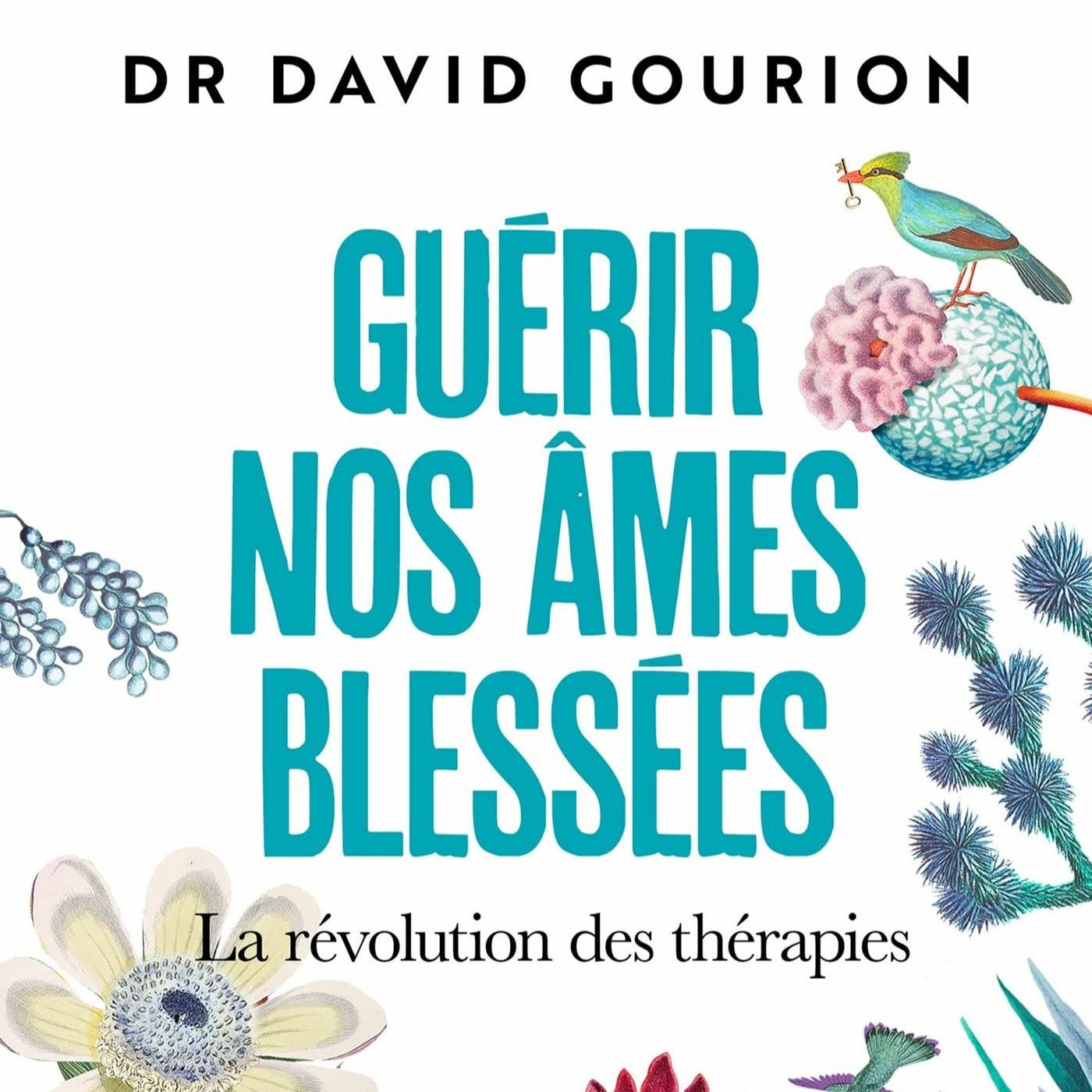 PODCAST:Plongez dans un formidable voyage intérieur avec le Dr Gourion episode artwork