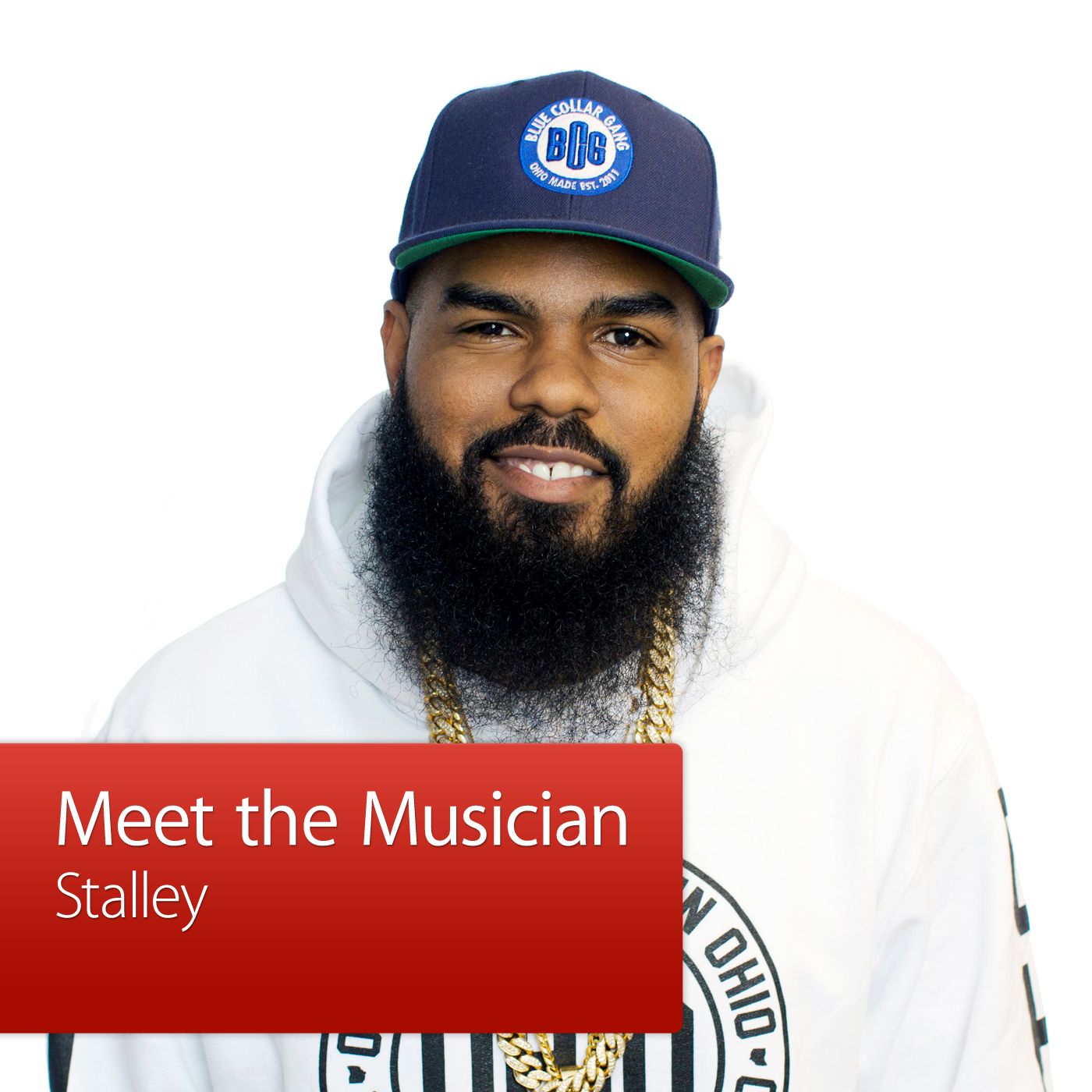 Meet the Musician