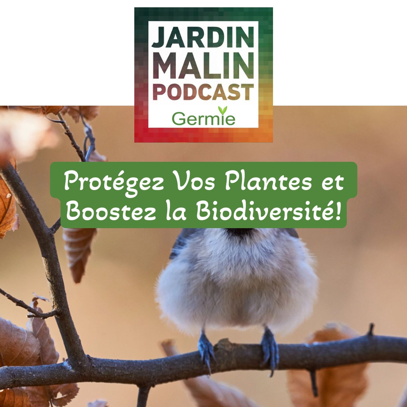 JARDIN MALIN by Germie