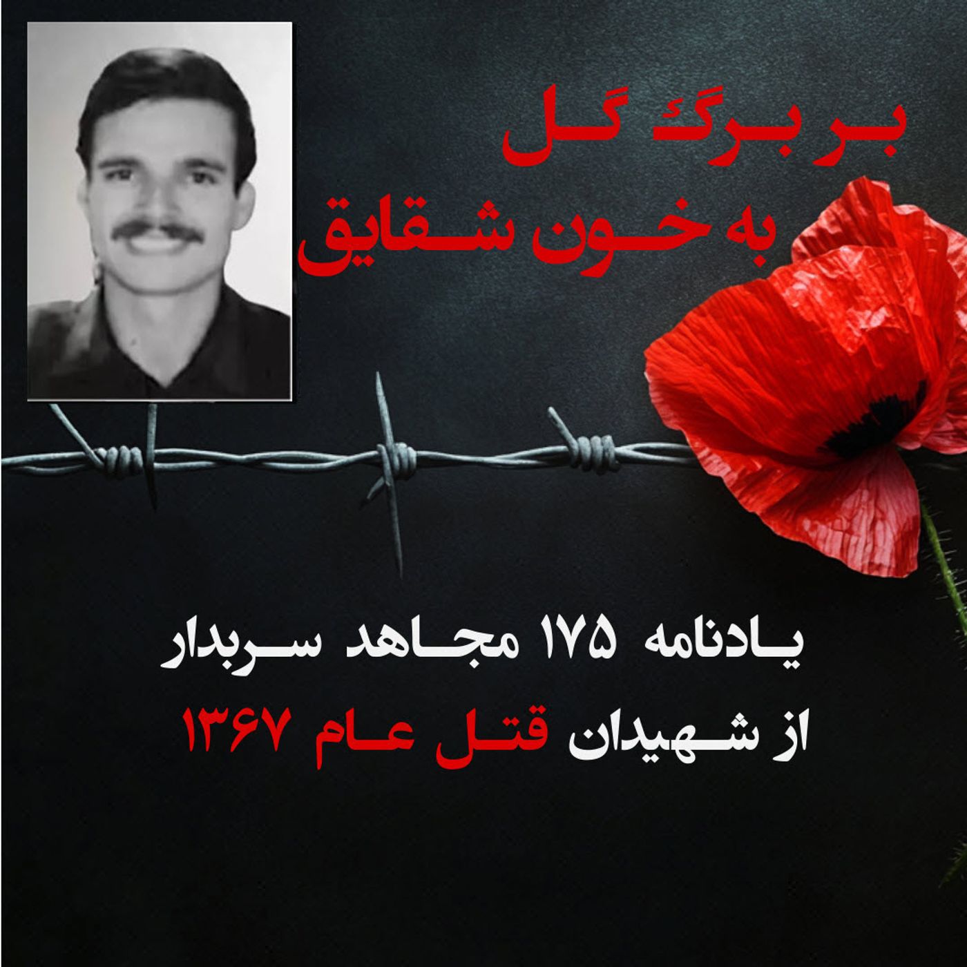 بربرگ گل به خون شقایق- محمد کوسچی-۱۱۲ episode artwork