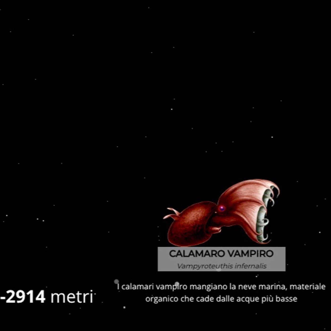 planet b/com’è profondo il mare episode artwork