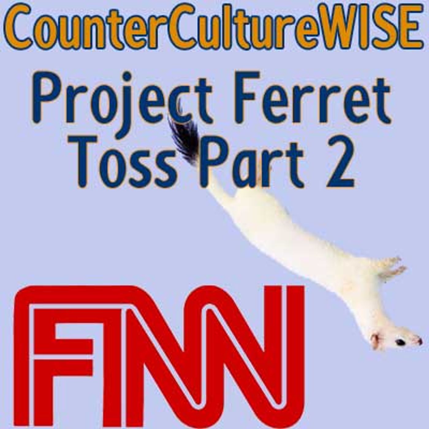 CounterCultureWISE