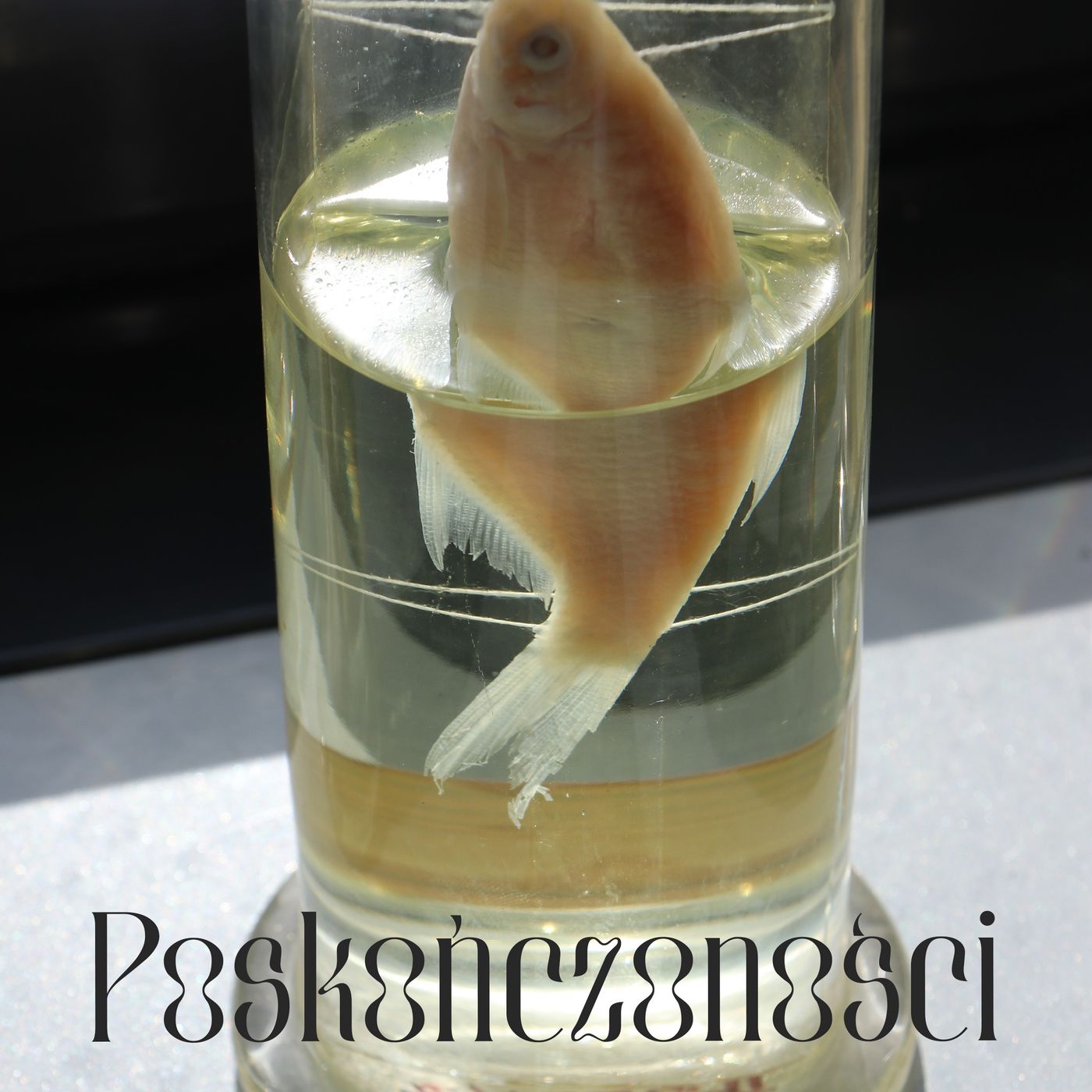 Poskończoności