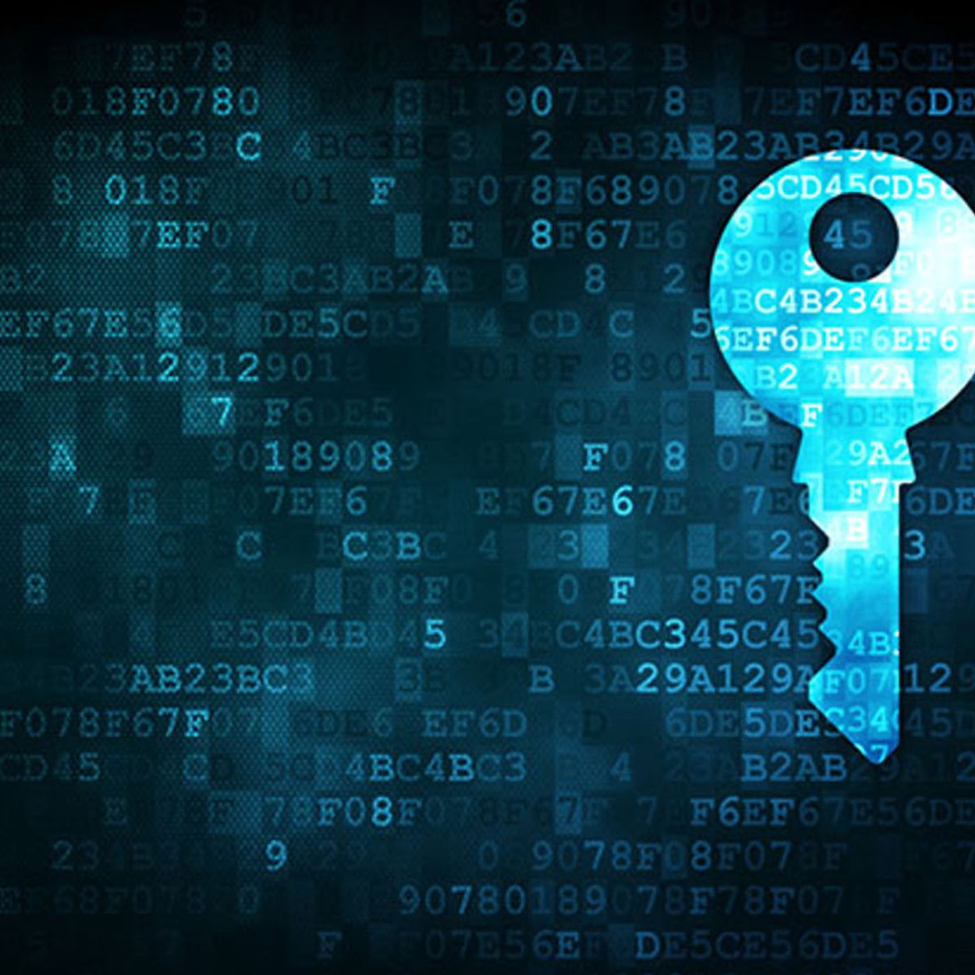 Bring Your Own Security Radio