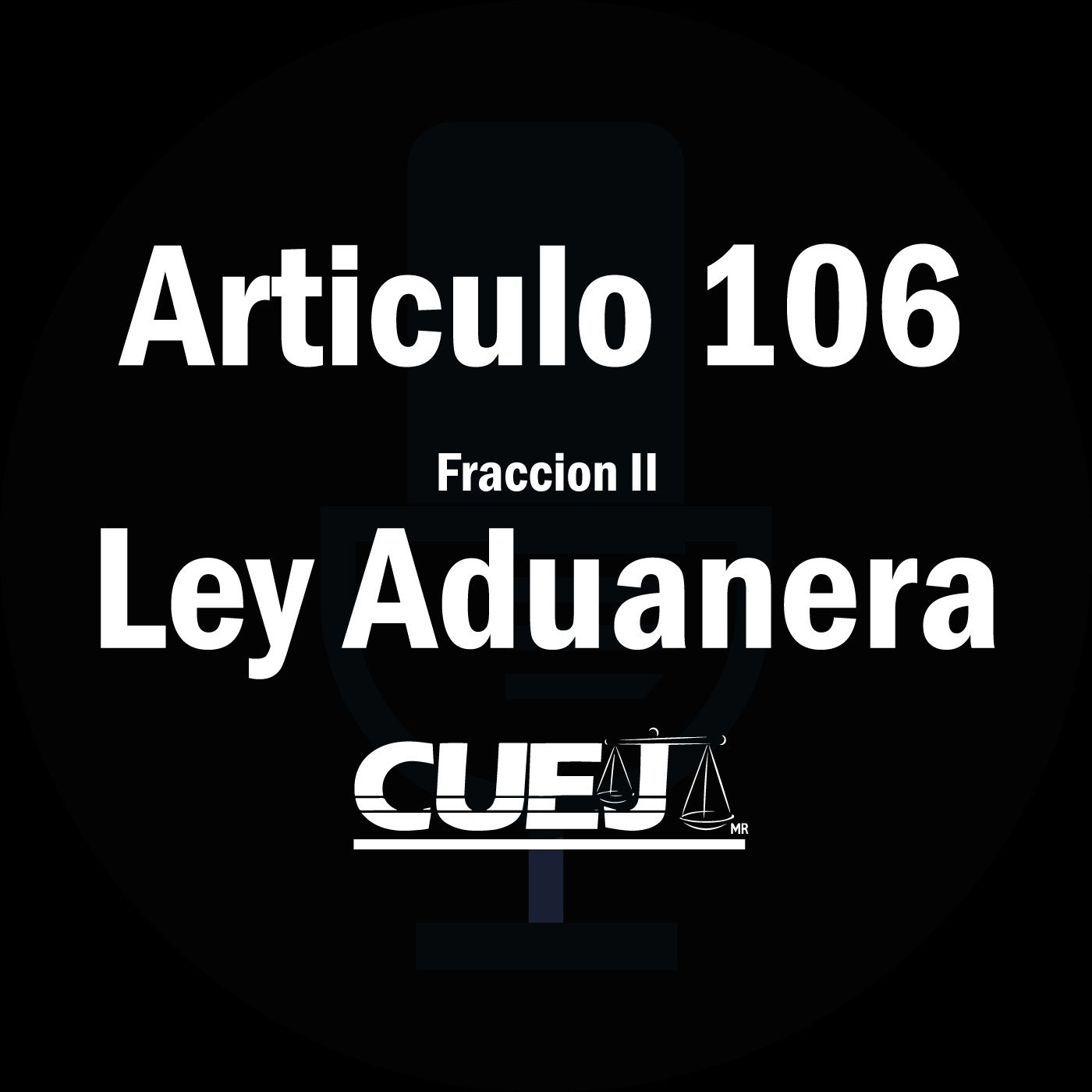 Audio Ley Aduanera