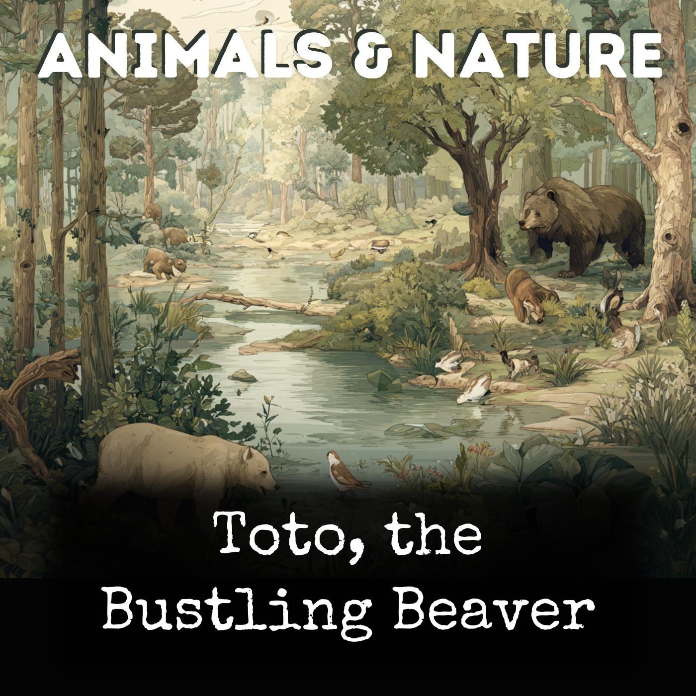 Toto, the Bustling Beaver cover art