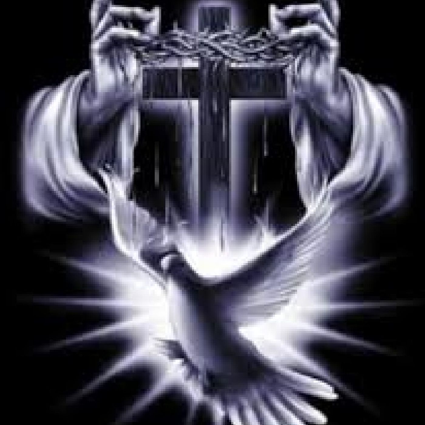 Vital  One+++Cradle  To  The  Grave+++
