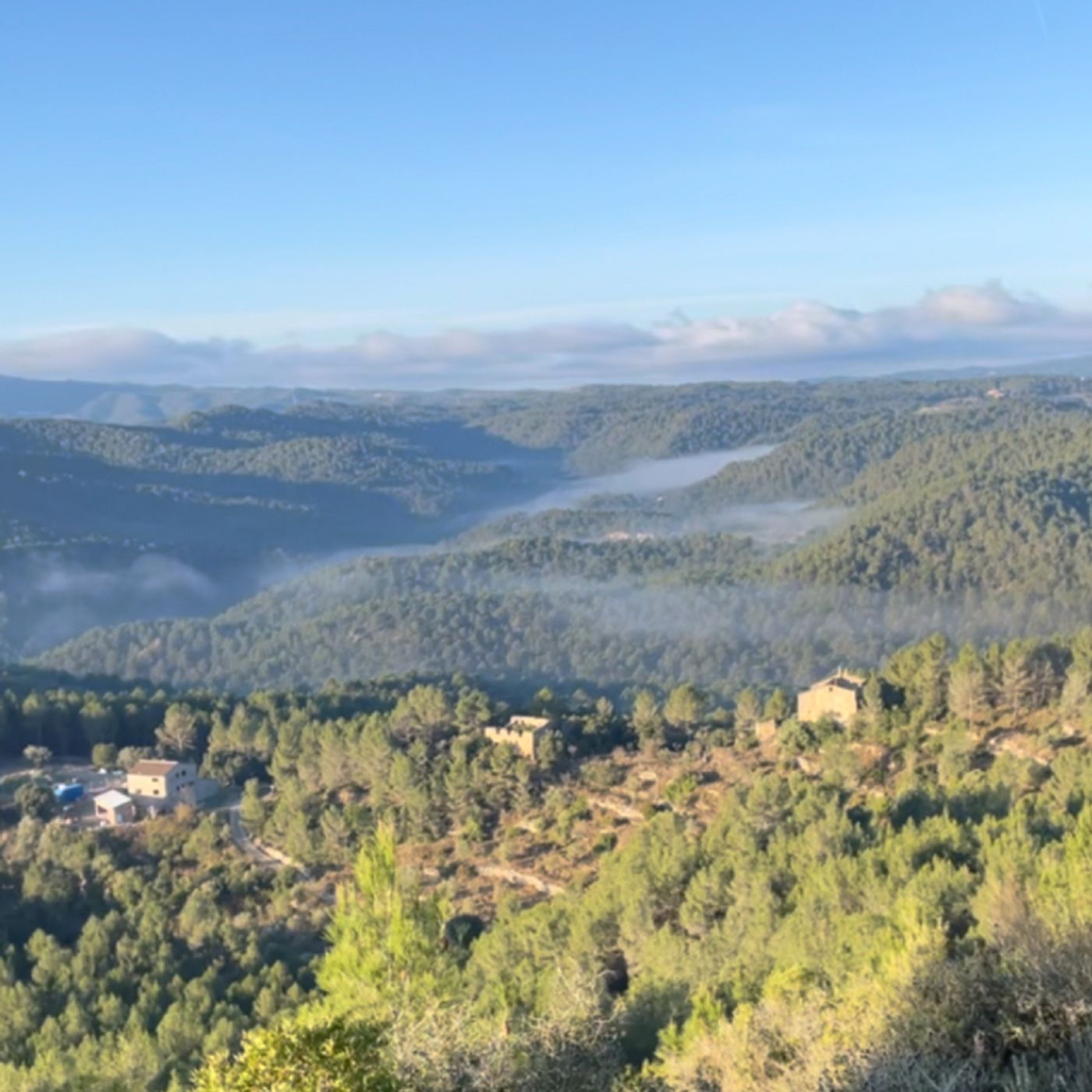 Psicologia i Consciència, “Tornar a Casa”