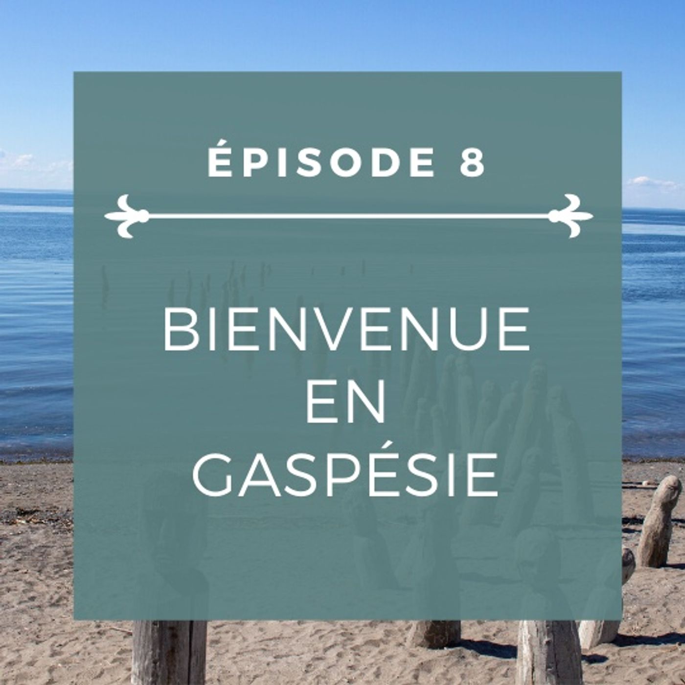 Fleur-de-lis: a French podcast