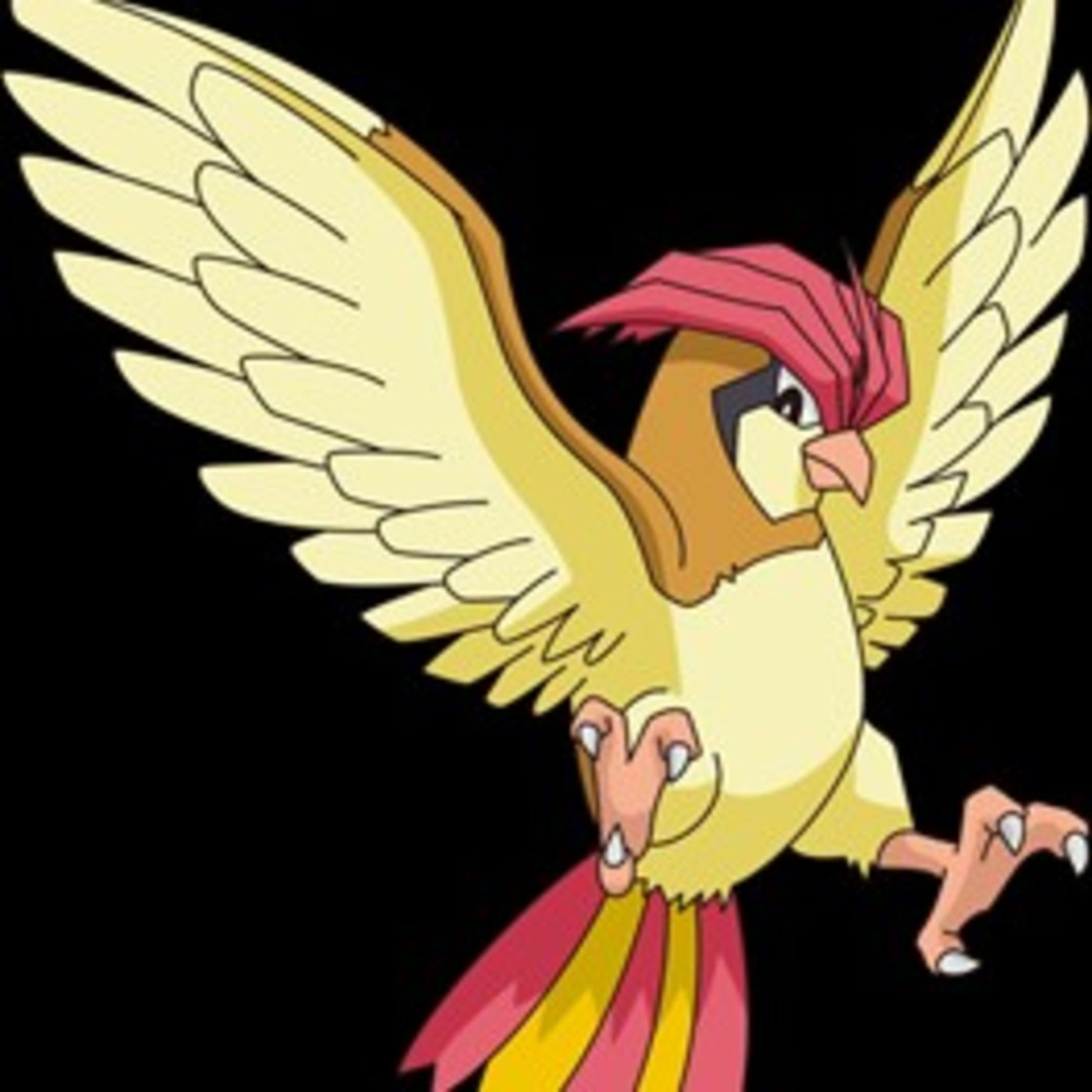 #017 Pidgeotto