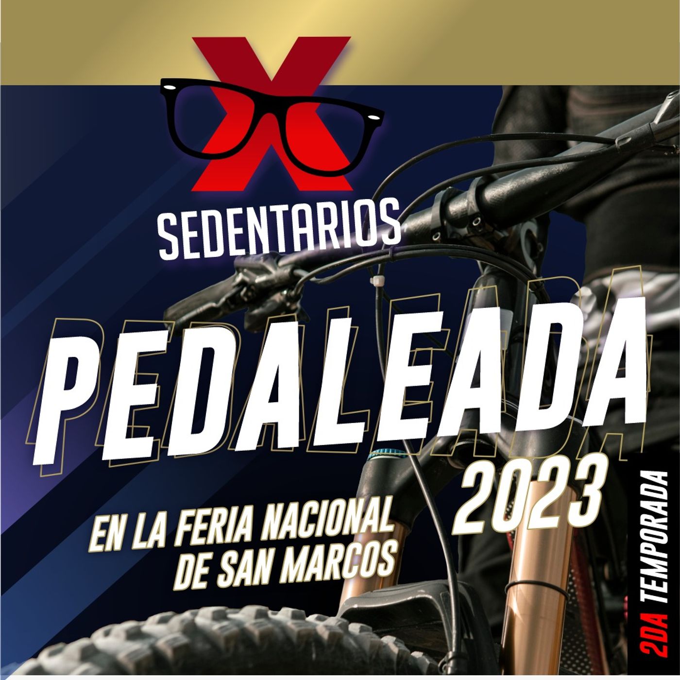 XSEDENTARIOS