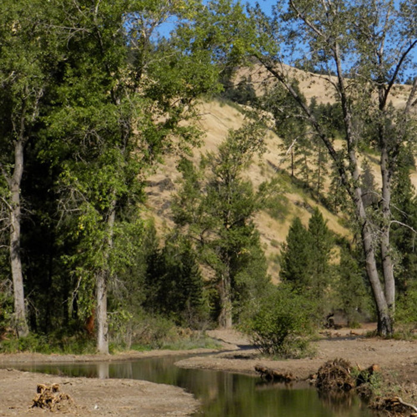 A Railroaded Oregon Creek Recovers From its Past episode artwork