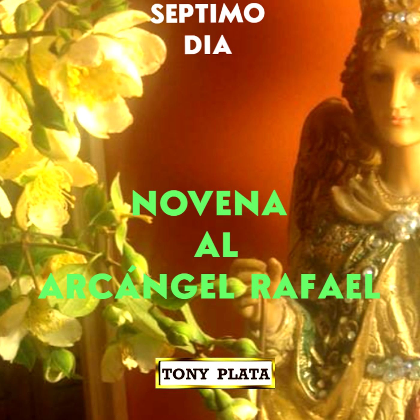 7 DIA NOVENA A SAN RAFAEL ARCANGEL episode artwork