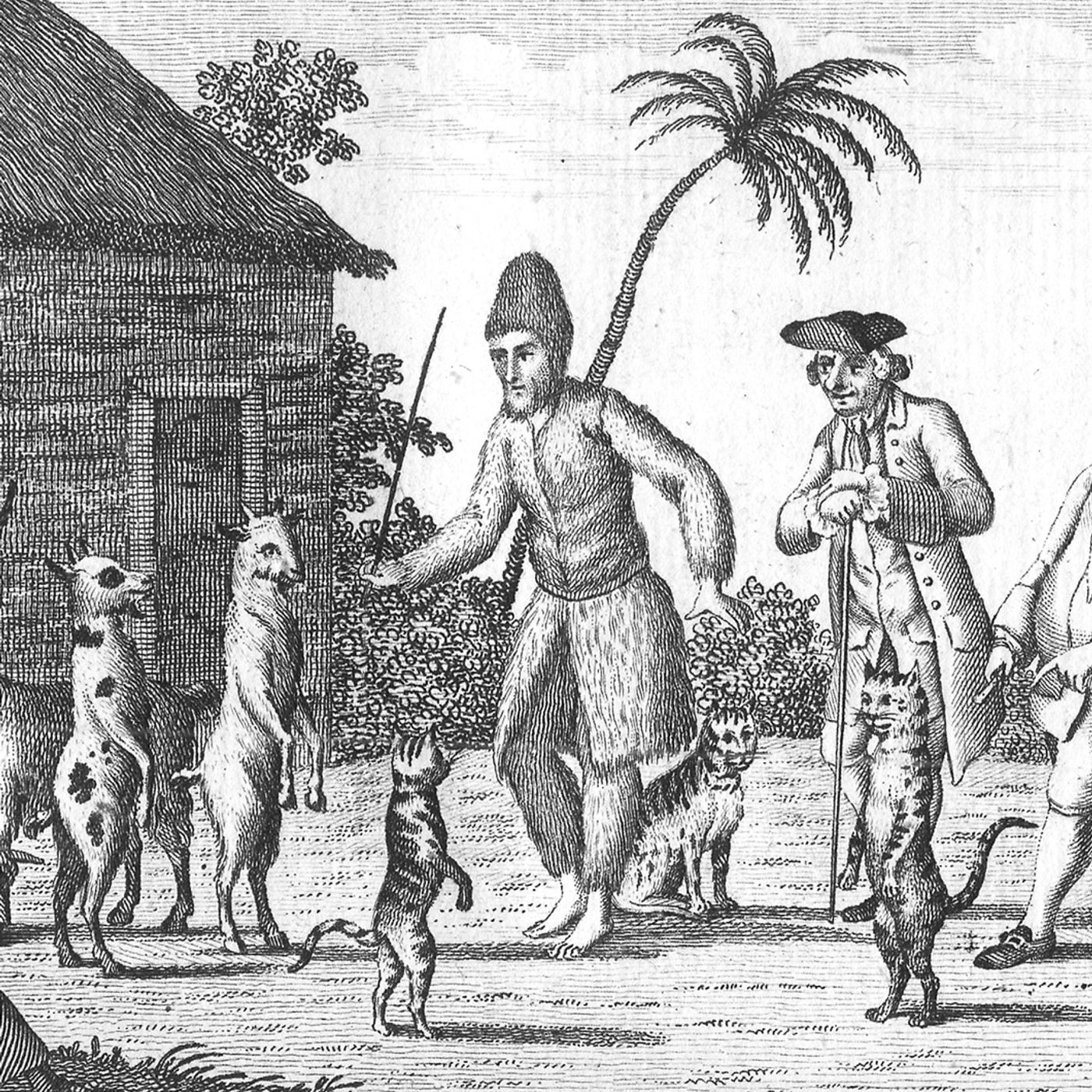 Un caffé con lo storico - La vera storia di Robinson Crusoe episode artwork