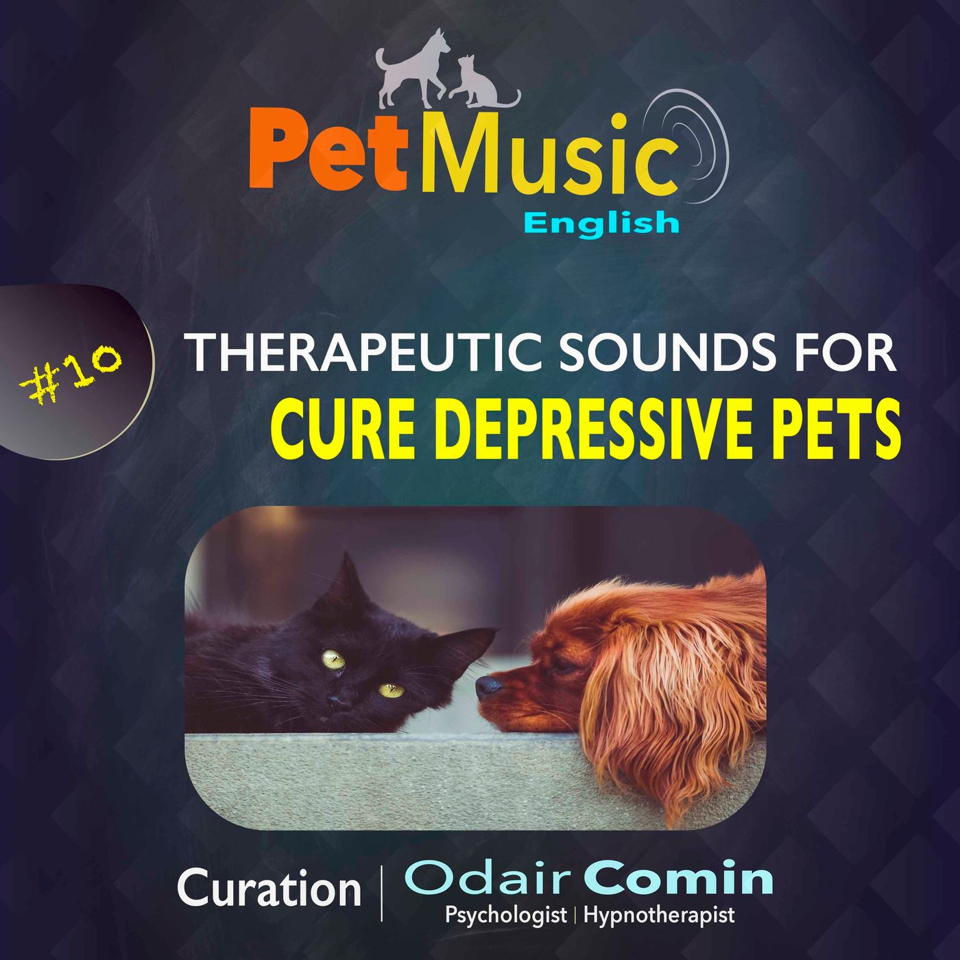 #10 Therapeutic Sounds for Depressive Pets | PetMusic