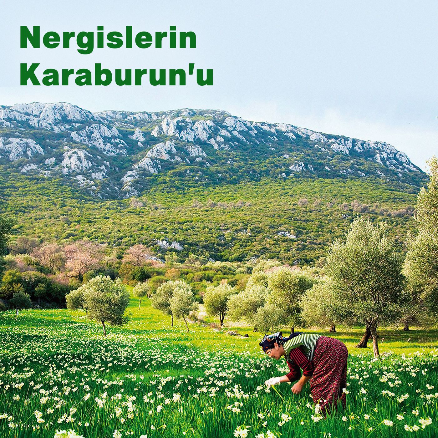 Nergislerin Karaburun'u episode artwork