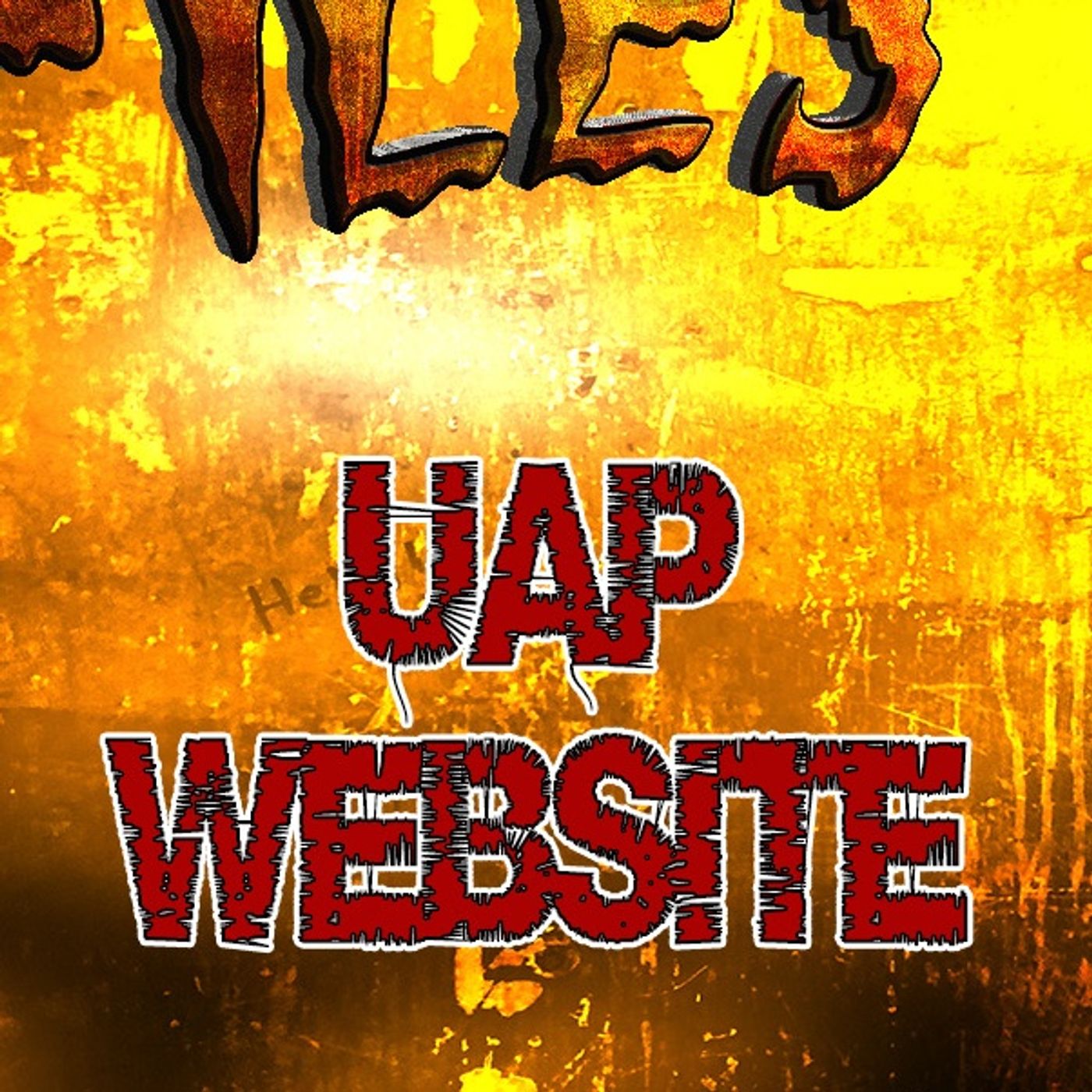 S362: The new government UAP website.