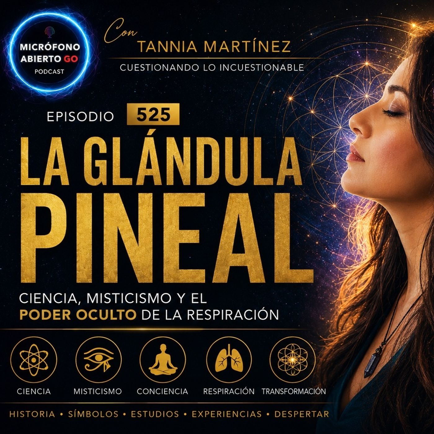 La respiración Kundalini activó mi glándula pineal y esto fue lo que pasó | Ep. 525