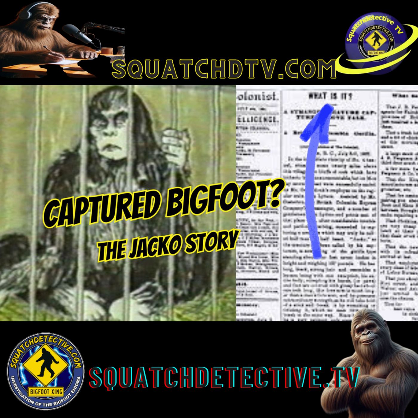 The Bigfoot Mystery - Squatch-D TV