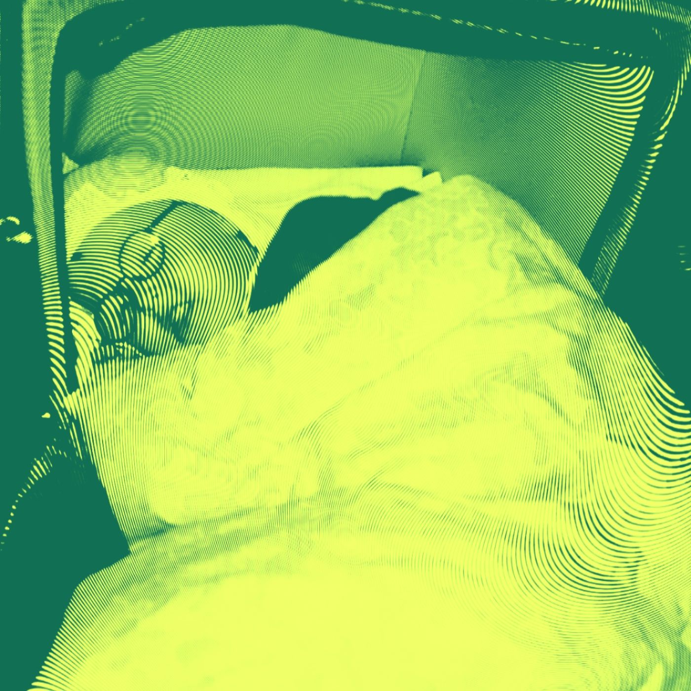 Overspringshandlinger