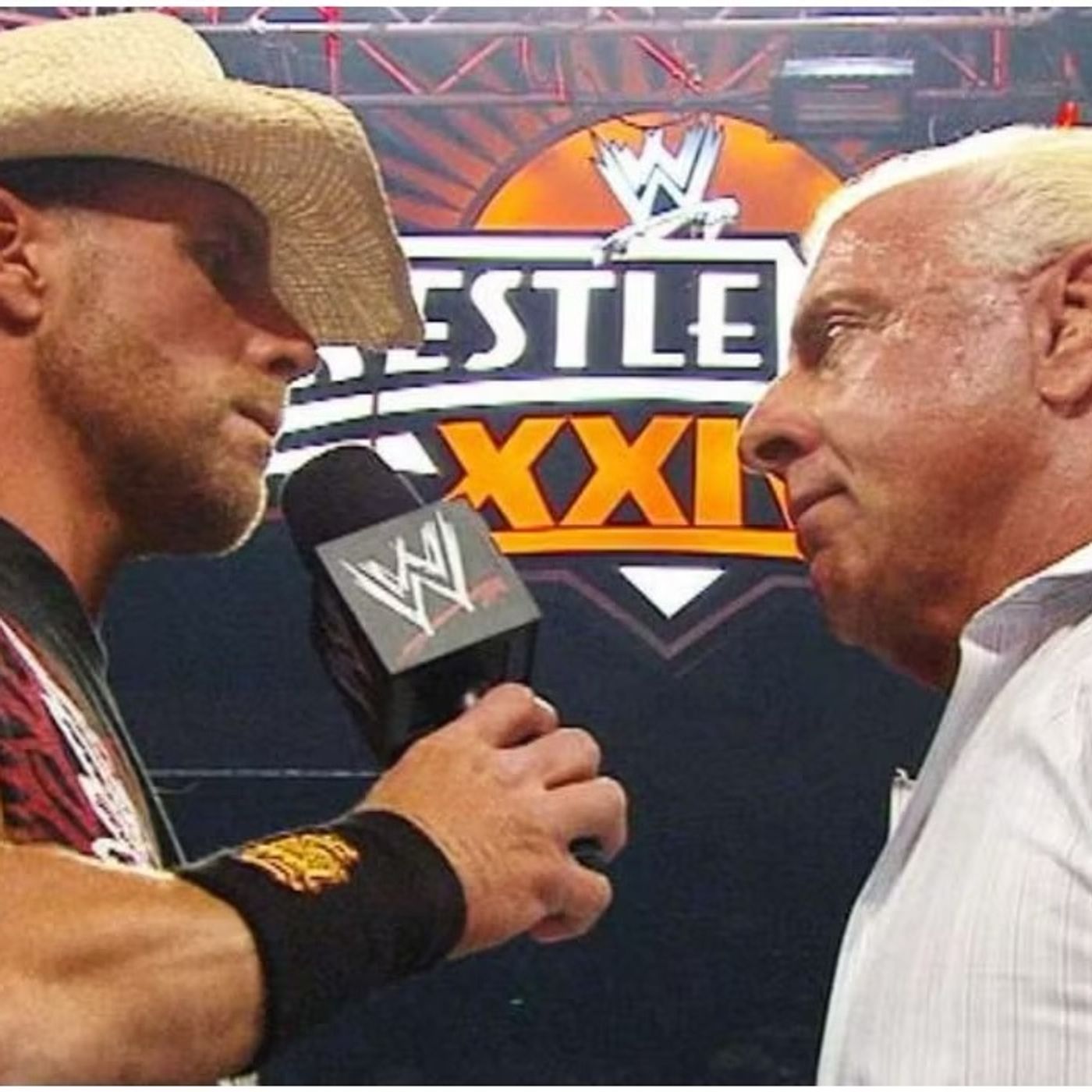 The Hendu Slam Episode 3 part 2: The Beat Matches from HenduMania Meets Wrestlemania  Wrestlemania XXIV: Shawn Michaels vs Ric Flair episode artwork