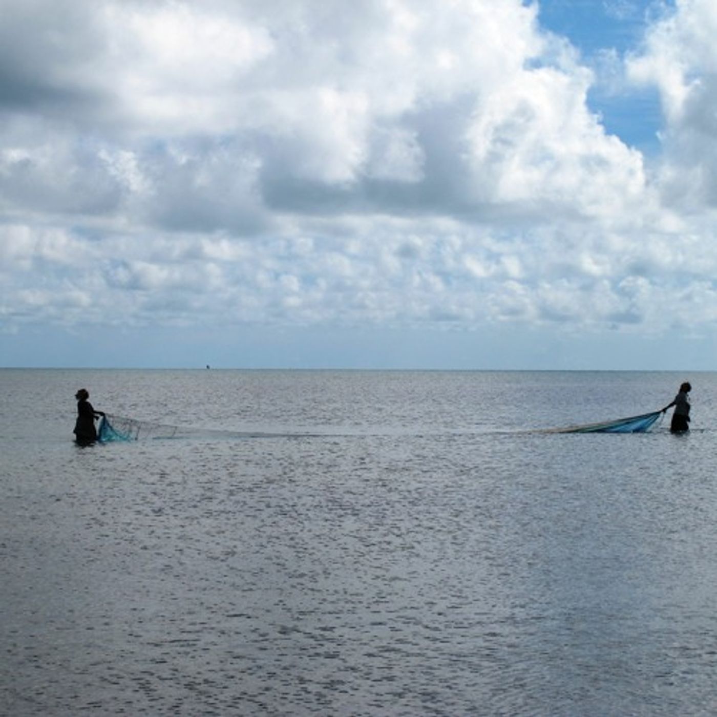 Scientists at Sea