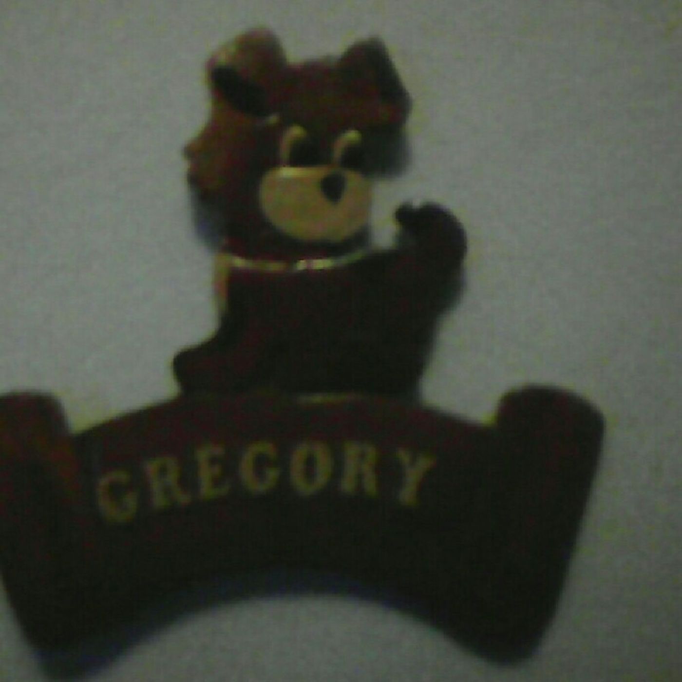 Grégory Pin's show
