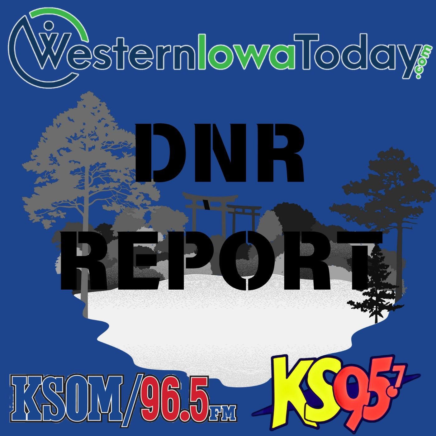 DNR Report