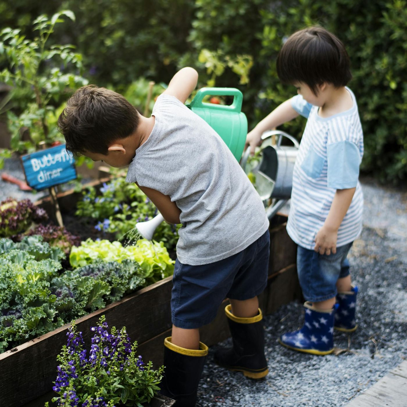 All Things Gardening