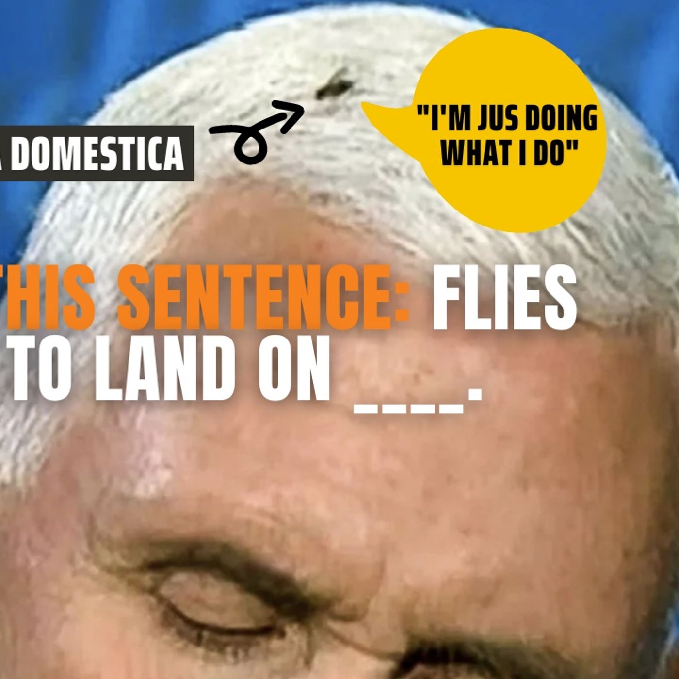 10.8 | Mike Pence Has A LIttle Buddy During The Debate, Will The VP Debate Make A Difference?