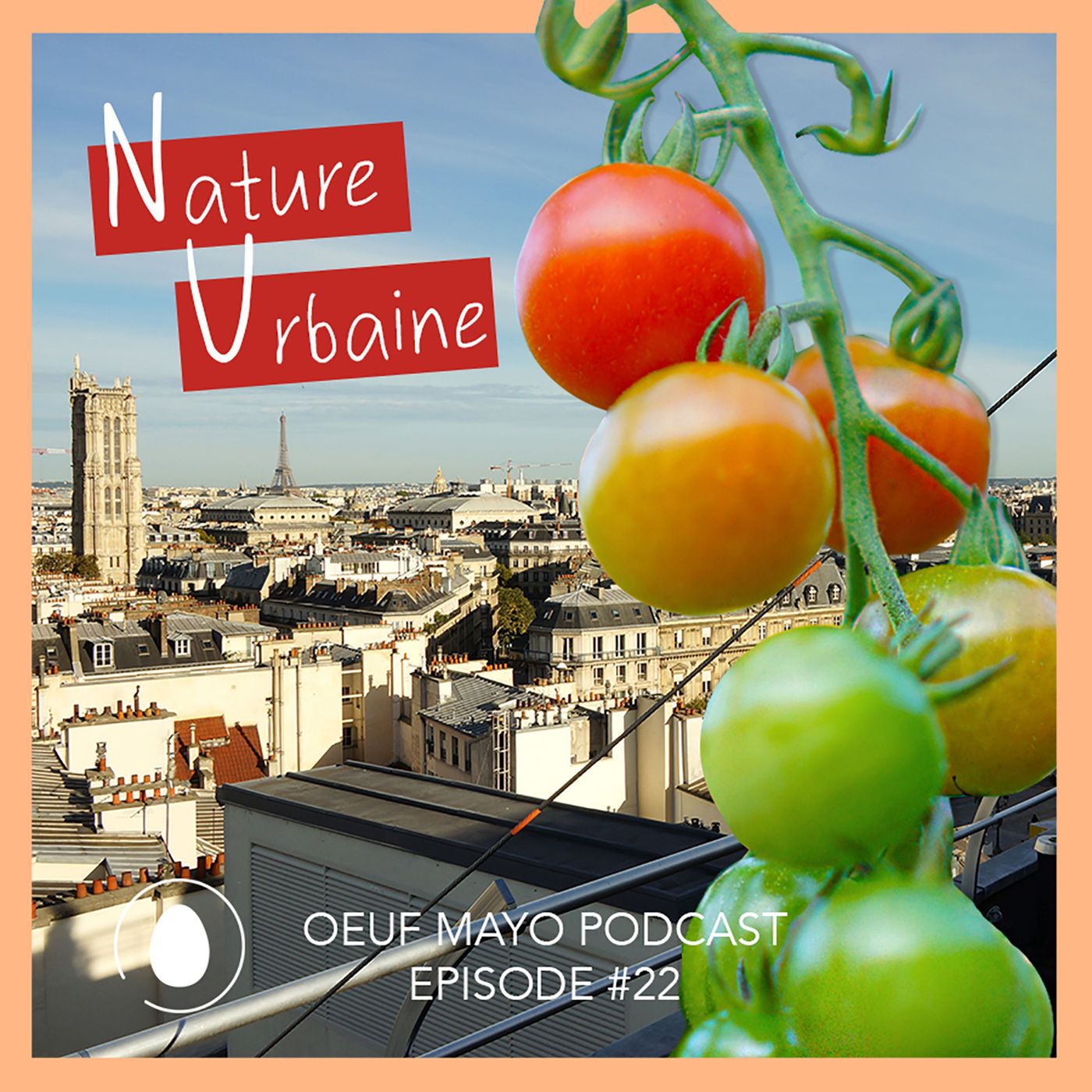 Oeuf Mayo Podcast