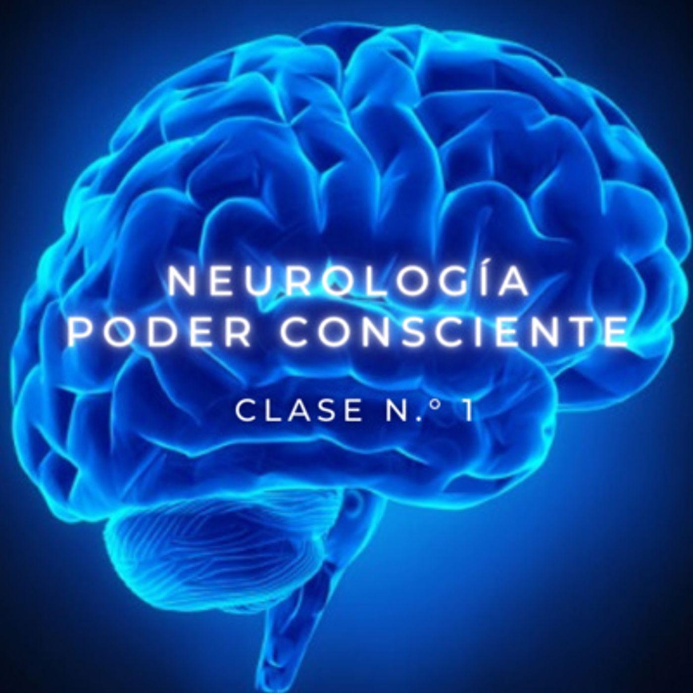 Instituto Virtual Metatron