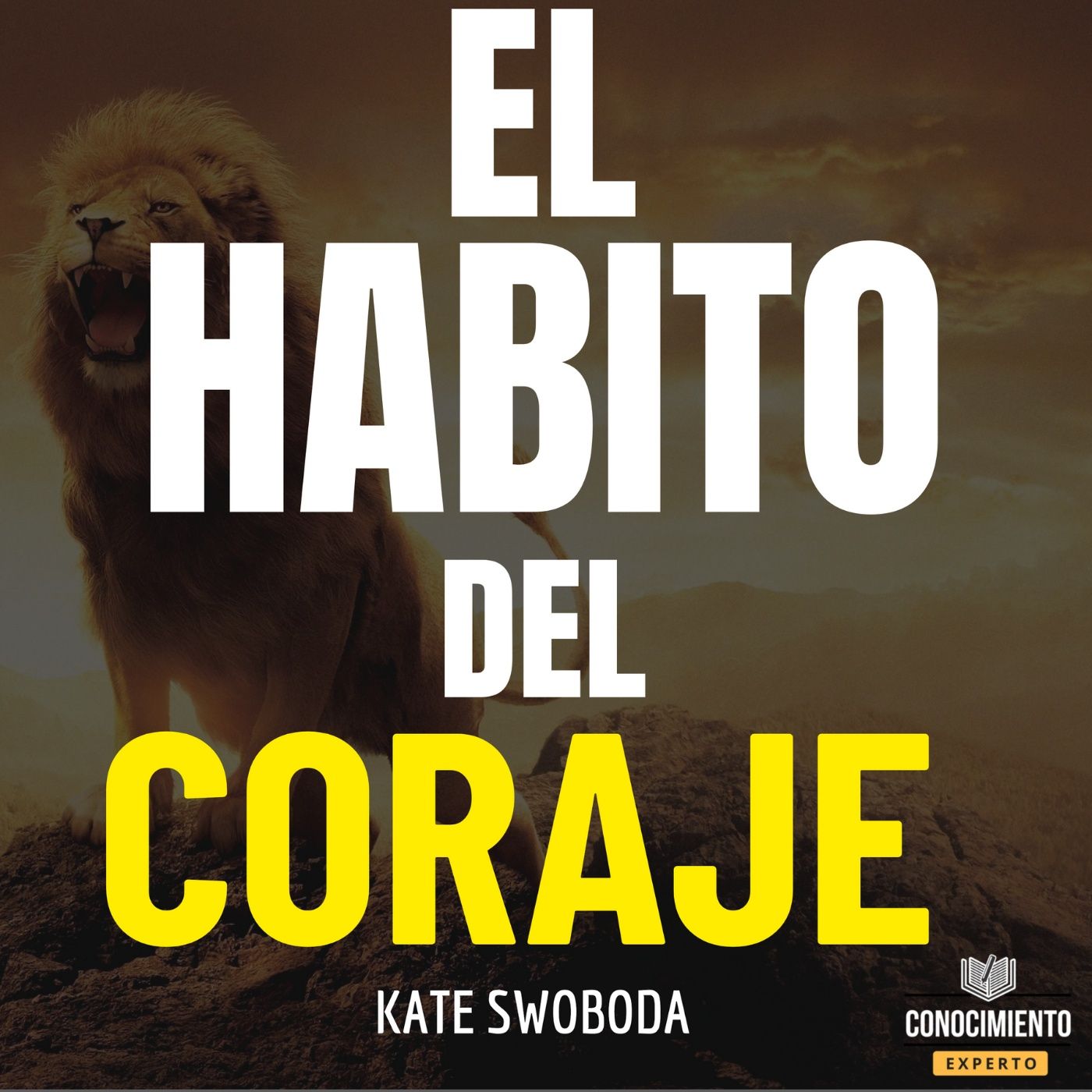 Conocimiento Experto