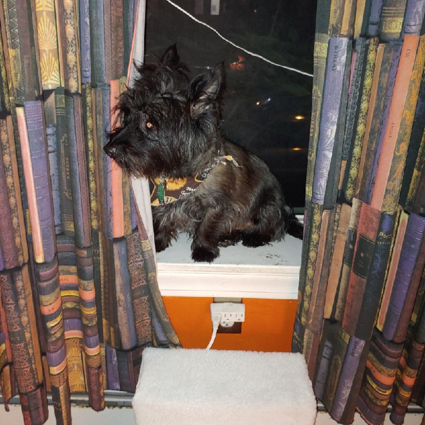 Episode 36 - In The Scheme Of Things Episode 36 - In The Scheme Of Things