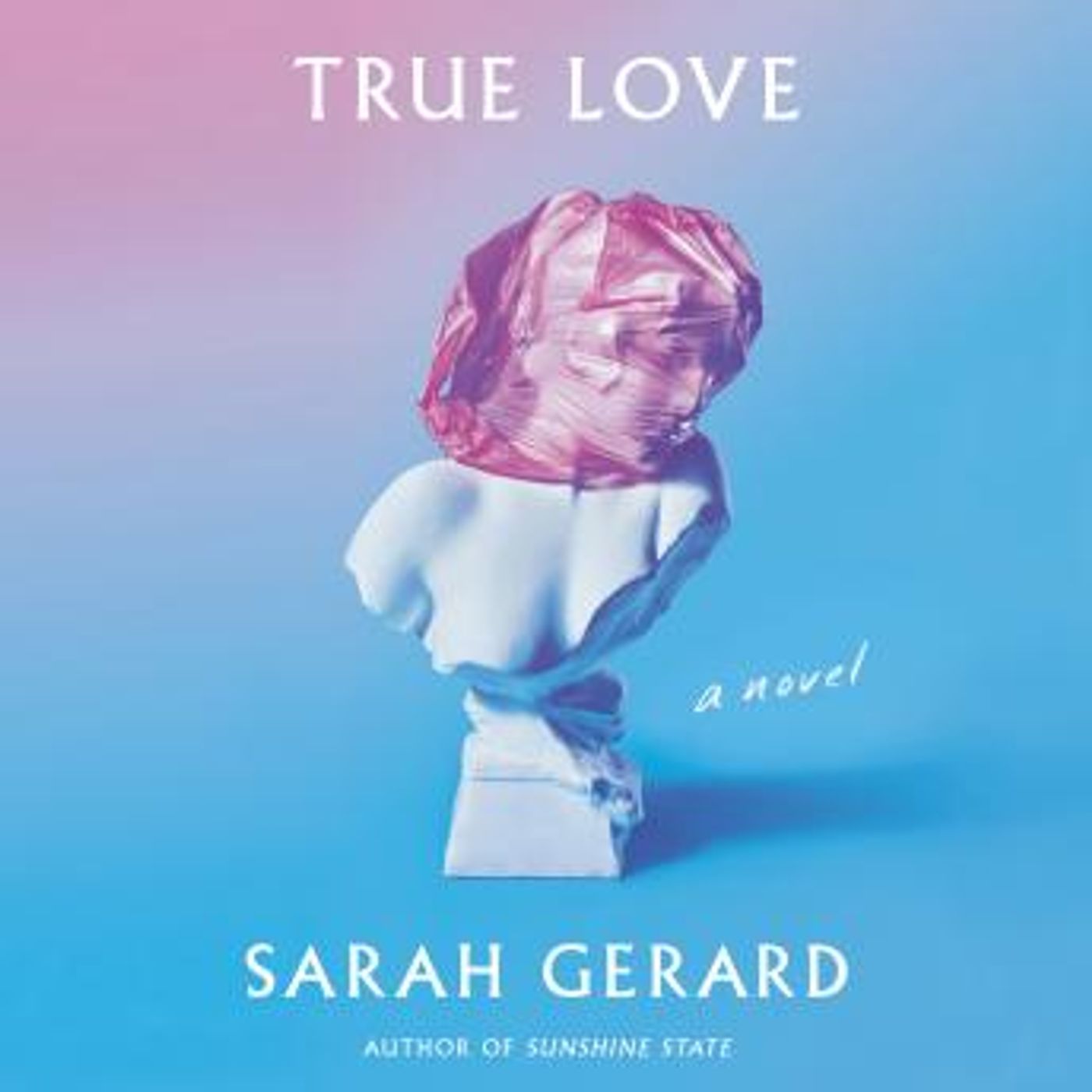 True Love: A Novel by Sarah Gerard episode artwork