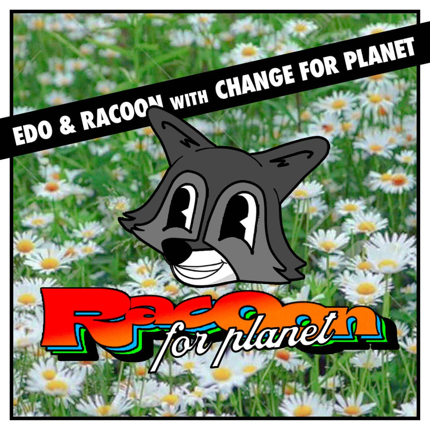 Racoon For Planet
