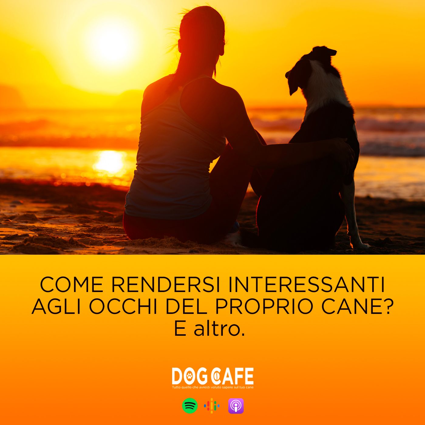 Dog Cafe Podcast
